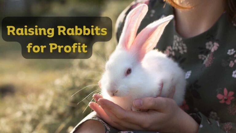 Raising Rabbits for Profit